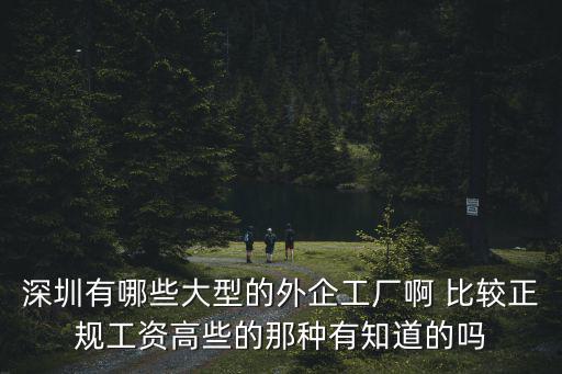 深圳有哪些大型的外企工廠啊 比較正規工資高些的那種有知道的嗎
