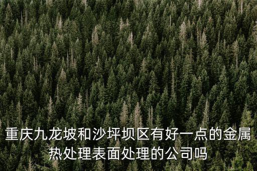 重慶九龍坡和沙坪壩區有好一點的金屬熱處理表面處理的公司嗎