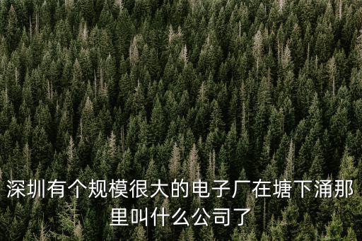 深圳華風電子有限公司，深圳寶安45區(qū)華豐新安商務大廈503室的公司叫什么名字