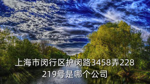 上海市閔行區護閔路3458弄228219號是哪個公司