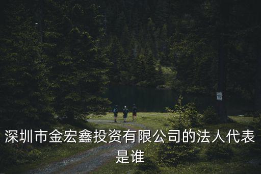 深圳市金宏鑫投資有限公司的法人代表是誰