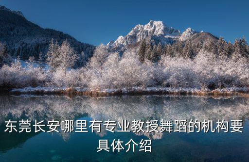 東莞長(zhǎng)安哪里有專業(yè)教授舞蹈的機(jī)構(gòu)要具體介紹