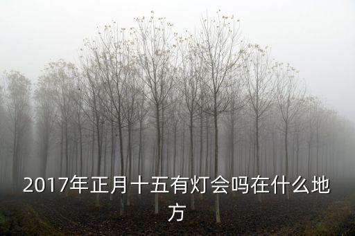 成都市2017年燈展，2017年正月十五有燈會嗎在什么地方