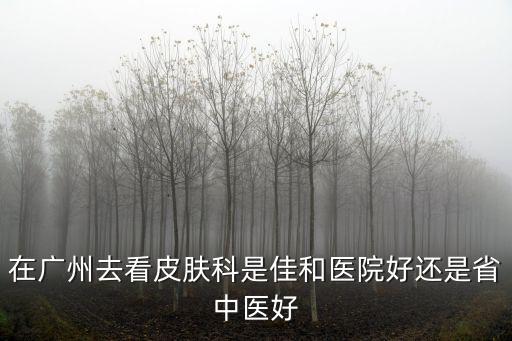 在廣州去看皮膚科是佳和醫院好還是省中醫好