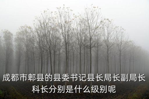 成都市郫縣的縣委書記縣長局長副局長科長分別是什么級別呢