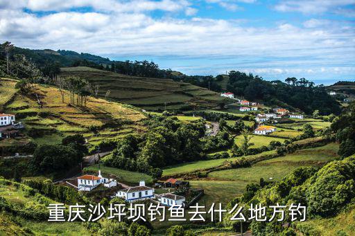 重慶沙坪壩釣魚去什么地方釣