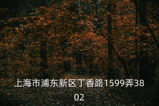 上海市浦東新區丁香路1599弄郵編，上海市浦東新區丁香路錦繡路1599弄的郵編是多少