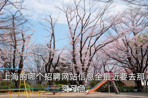 上海市衛(wèi)生人才網(wǎng)，中國(guó)衛(wèi)生人才網(wǎng)