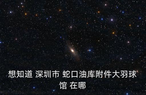 想知道 深圳市 蛇口油庫附件大羽球館 在哪