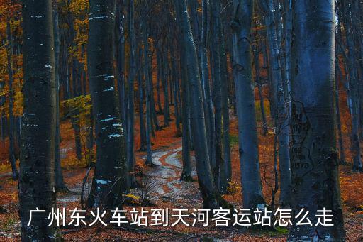 廣州東火車站到天河客運(yùn)站怎么走