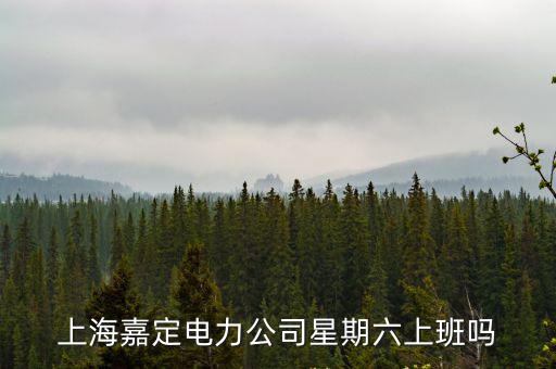 上海嘉定電力公司星期六上班嗎