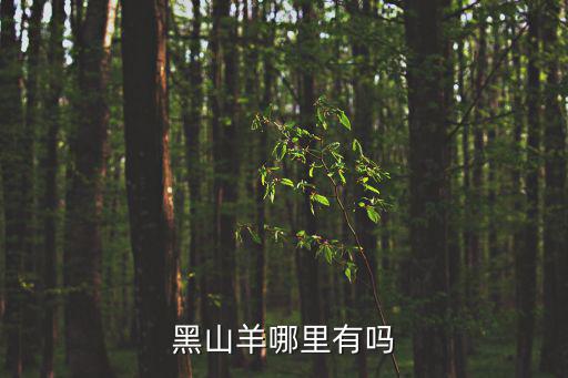 黑山羊哪里有嗎