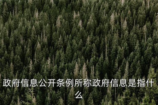 上海市政府信息公開規定，以法規的形式把政府信息公開的范圍和主體方式和程序監督和保障