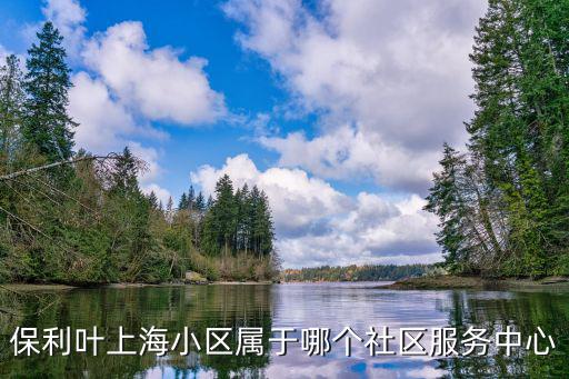 保利葉上海小區屬于哪個社區服務中心