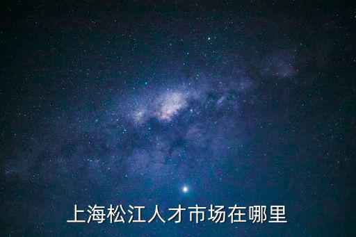上海松江人才市場在哪里
