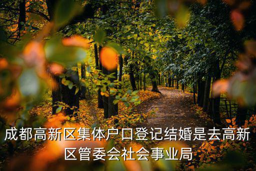 成都高新區(qū)集體戶口登記結(jié)婚是去高新區(qū)管委會社會事業(yè)局