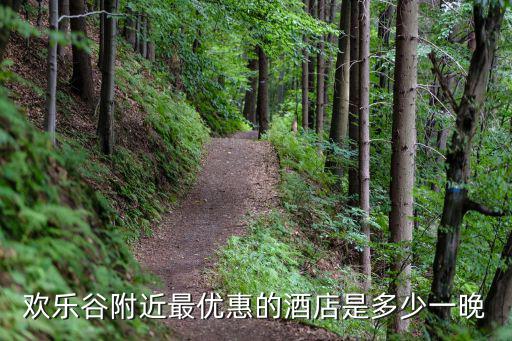 歡樂谷附近最優(yōu)惠的酒店是多少一晚