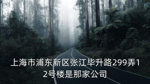 上海市浦東新區(qū)張江畢升路299弄12號樓是那家公司