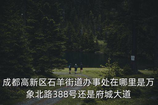 成都高新區石羊街道辦事處在哪里是萬象北路388號還是府城大道
