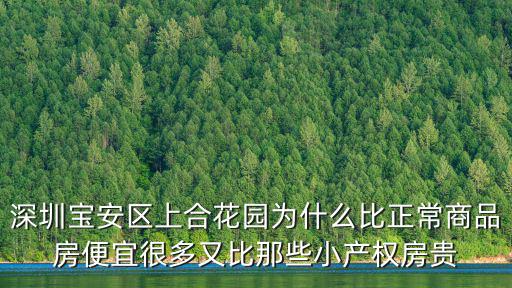 深圳富金苑小區(qū)，深圳寶安區(qū)上合花園為什么比正常商品房便宜很多又比那些小產(chǎn)權(quán)房貴