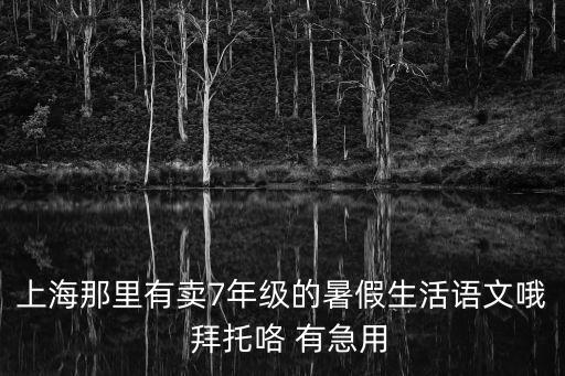 上海那里有賣7年級的暑假生活語文哦  拜托咯 有急用