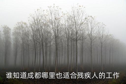 誰知道成都哪里也適合殘疾人的工作