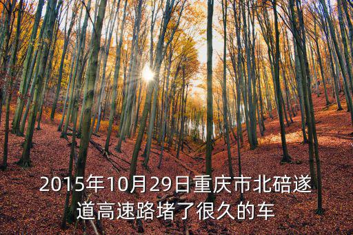 2015年10月29日重慶市北碚遂道高速路堵了很久的車