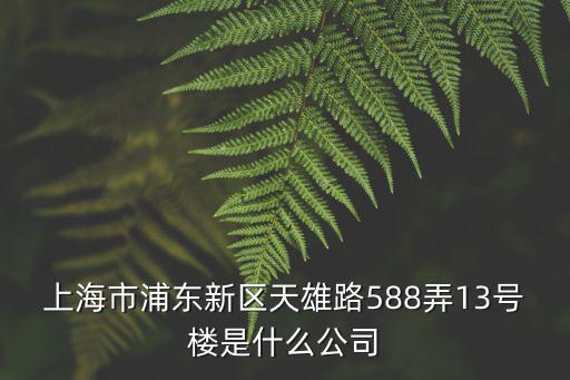 上海市浦東新區天雄路588弄13號樓是什么公司