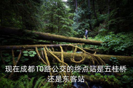 現在成都10路公交的終點站是五桂橋還是東客站