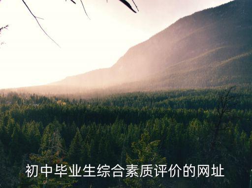 初中畢業(yè)生綜合素質(zhì)評價的網(wǎng)址