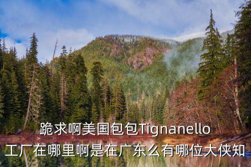 跪求啊美國包包Tignanello工廠在哪里啊是在廣東么有哪位大俠知
