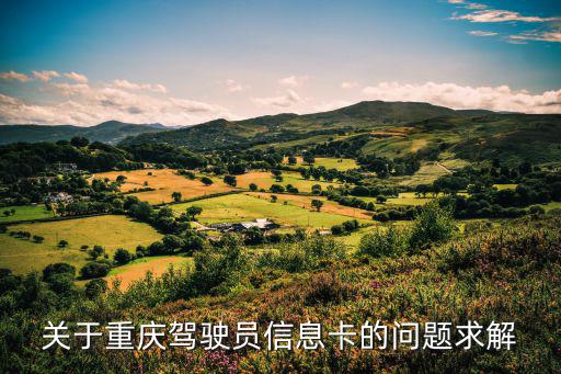 關(guān)于重慶駕駛員信息卡的問題求解