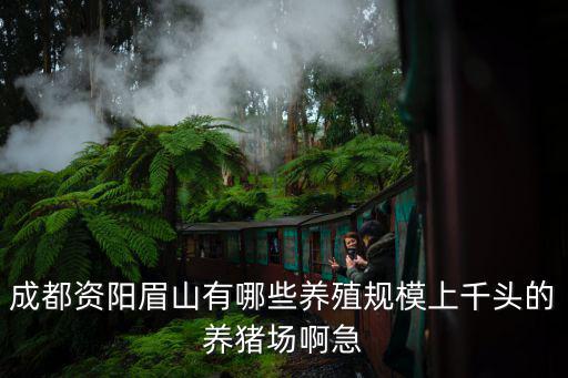 成都資陽眉山有哪些養殖規模上千頭的養豬場啊急