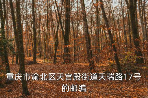 重慶市渝北區天宮殿街道天瑞路17號的郵編