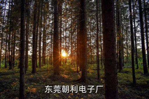 東莞朝利電子廠