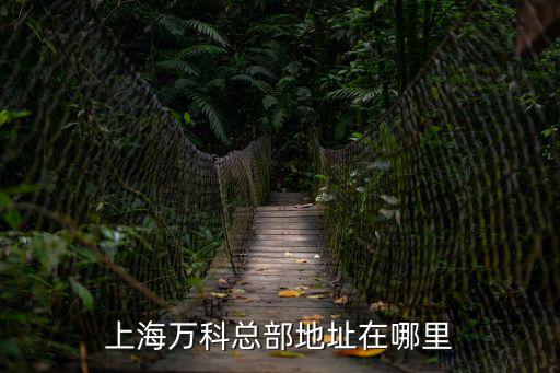 上海萬(wàn)科總部地址在哪里
