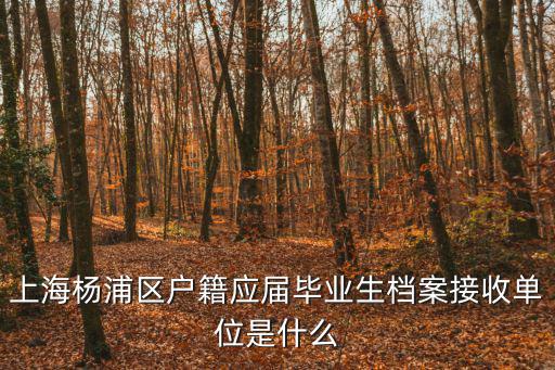 上海楊浦區戶籍應屆畢業生檔案接收單位是什么