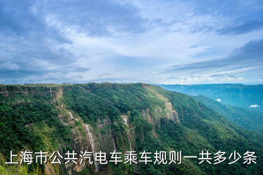 上海市公共汽電車乘車規則一共多少條