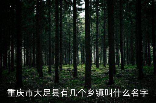 重慶市大足縣有幾個鄉鎮叫什么名字