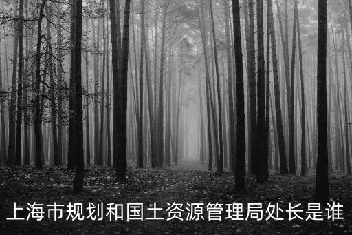 上海市規劃局白滔，這個地塊是怎樣規劃的