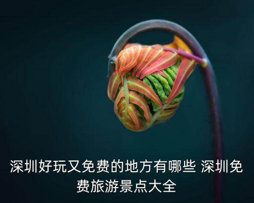 深圳好玩又免費的地方有哪些 深圳免費旅游景點大全