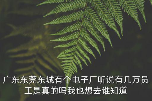 信佳電子?xùn)|莞，東莞只上白班的電子廠有哪些