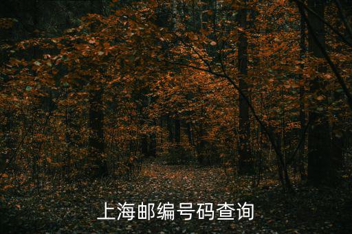 上海市平城路732號郵編，上海大學嘉定校區(qū)郵編