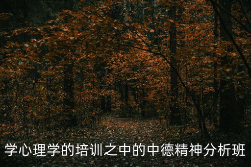 學心理學的培訓之中的中德精神分析班