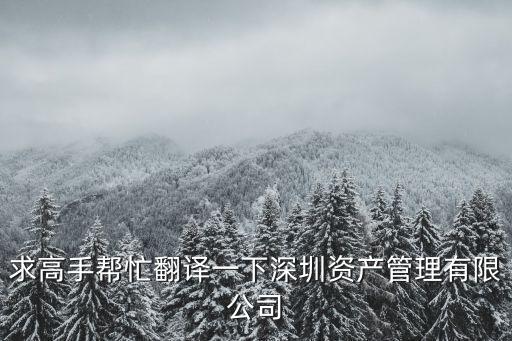 求高手幫忙翻譯一下深圳資產管理有限公司