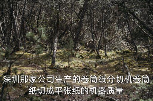 深圳那家公司生產的卷筒紙分切機卷筒紙切成平張紙的機器質量