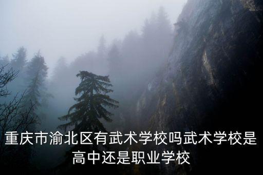 重慶市渝北區(qū)有武術(shù)學(xué)校嗎武術(shù)學(xué)校是高中還是職業(yè)學(xué)校