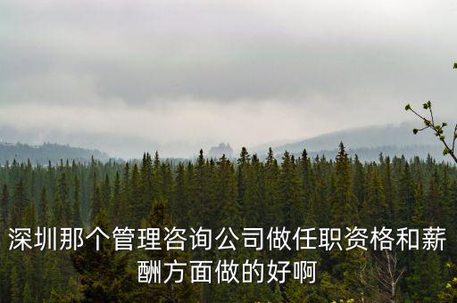 深圳那個管理咨詢公司做任職資格和薪酬方面做的好啊