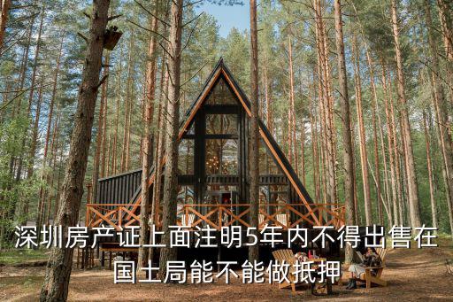 深圳房產證上面注明5年內不得出售在國土局能不能做抵押