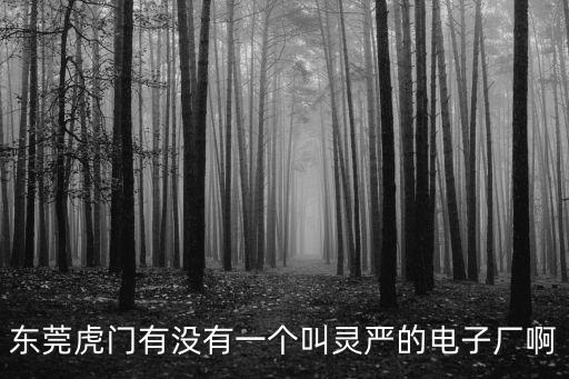 東莞市虎門勤謙電子廠 范千，東莞虎門有沒有一個叫靈嚴的電子廠啊